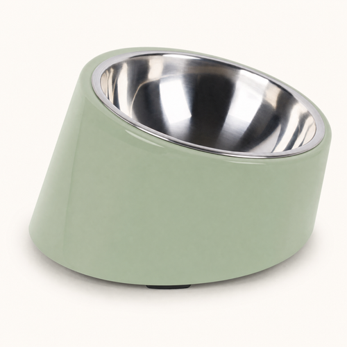 The Posture Bowl