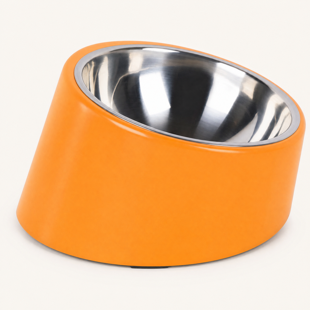 The Posture Bowl
