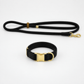 Tilt & Tail "Harbor" Leash & Collar