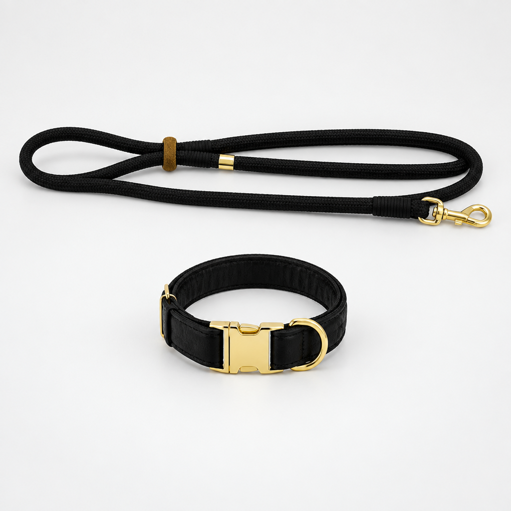 Tilt & Tail "Harbor" Leash & Collar
