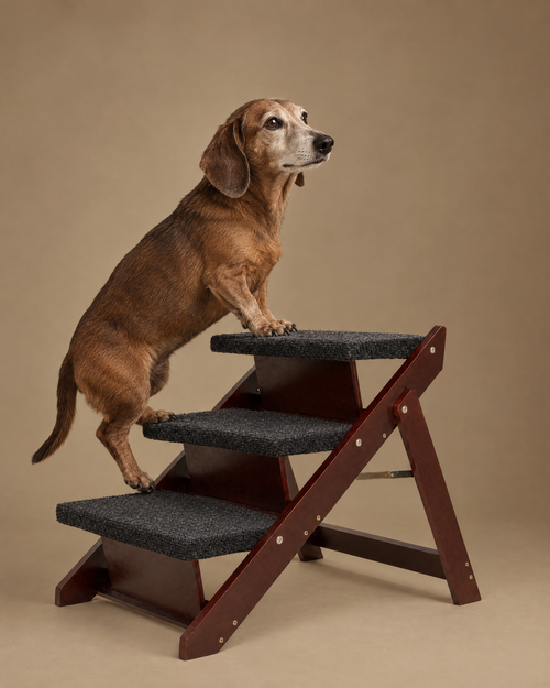 The Up-Up Stairs
