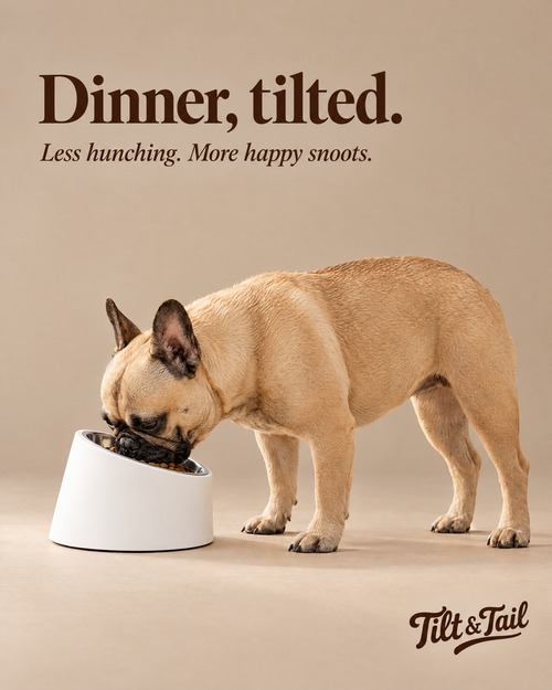 The Posture Bowl: Dinner, tilted.